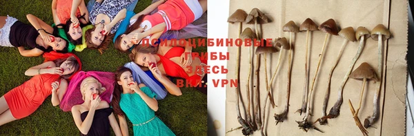 амф Алексеевка