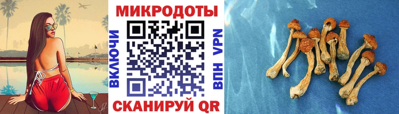 Псилоцибиновые грибы Magic Shrooms  сколько стоит  Солнечногорск 